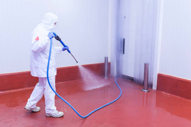 Best Solar Panel Cleaning  in Fallon, NV